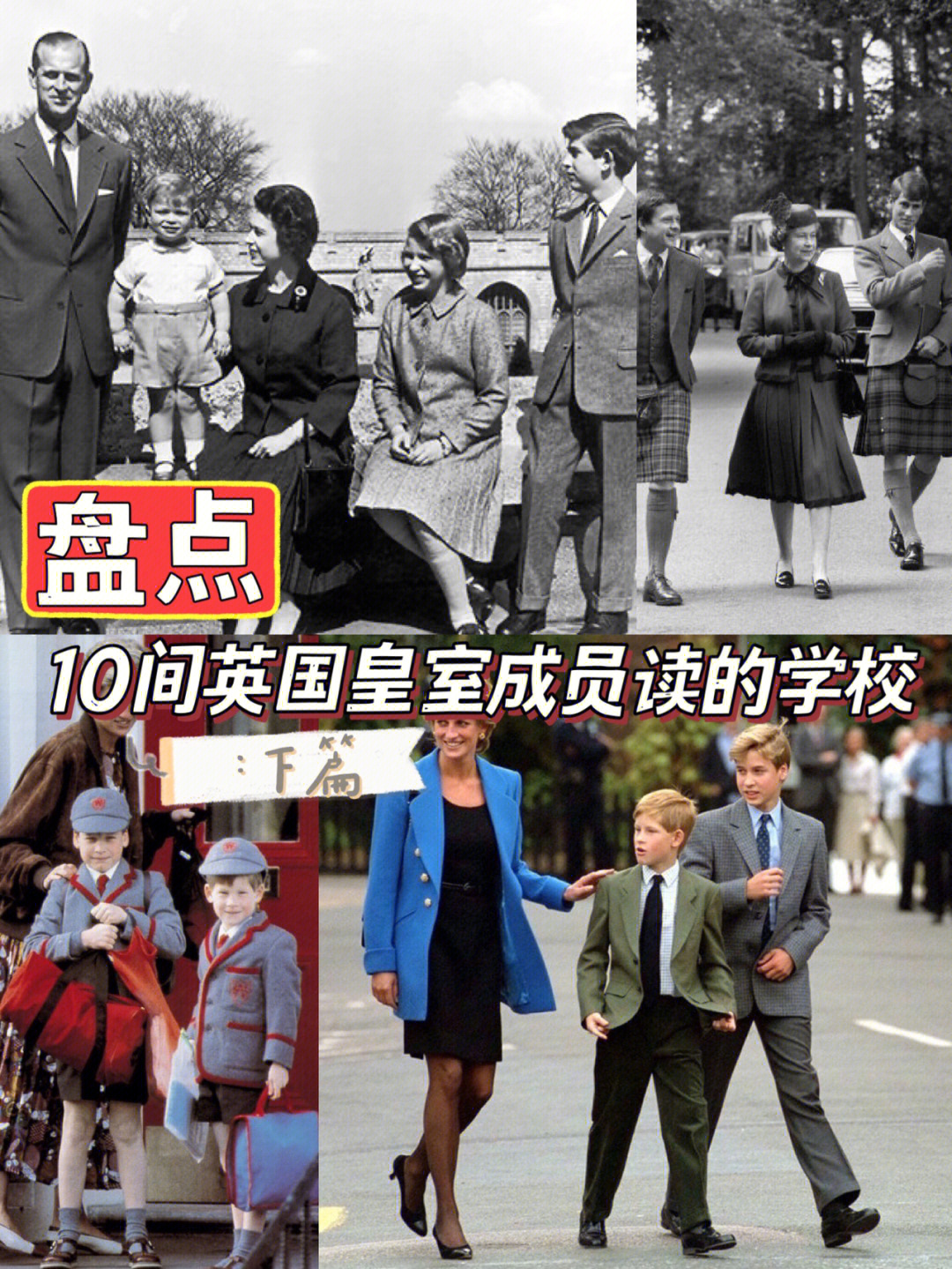 澳大利亞貴族學校排名_澳大利亞貴族狗糧 知乎_澳大利亞學校排名