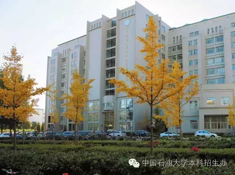 石油工程專業排名_武漢工程大學過程裝備與控制工程專業高校排名_工程或工程經濟類專業列表
