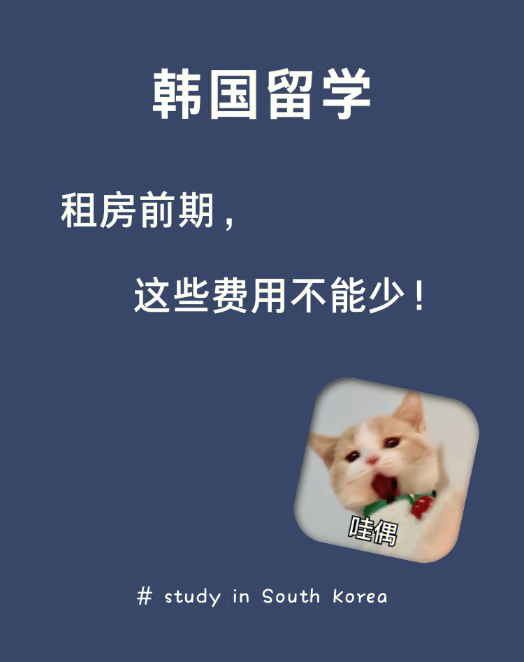 碩士留學(xué)韓國費(fèi)用_韓國朝鮮大學(xué)費(fèi)用留學(xué)_韓國留學(xué)一年的費(fèi)用