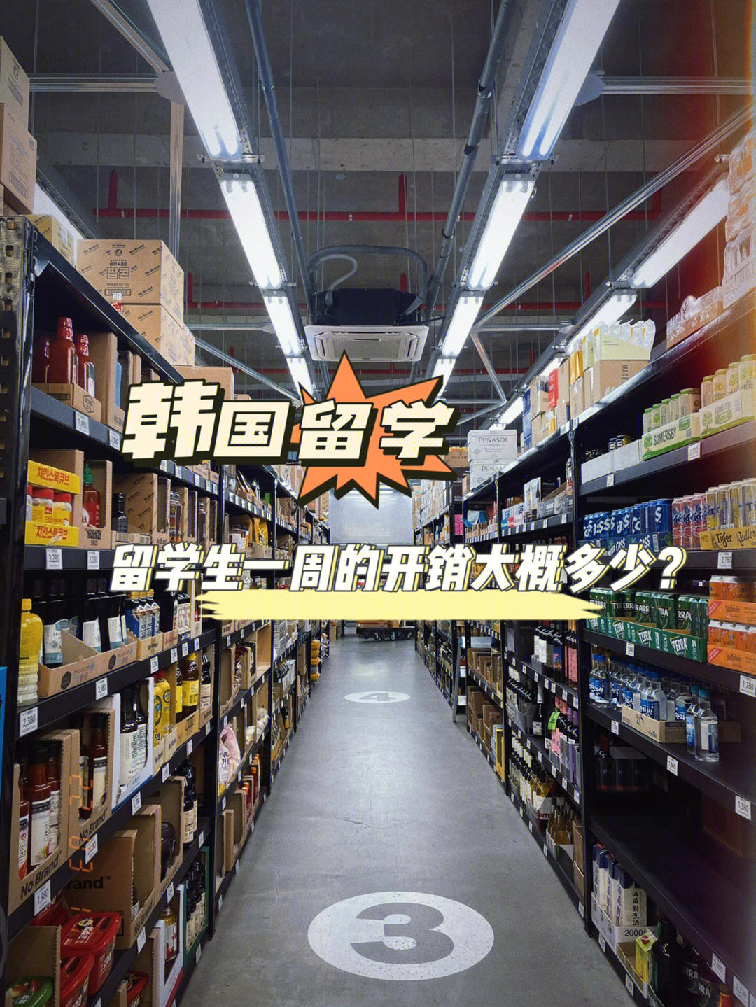 2023專業(yè)留學(xué)中介最新要求_2023亞洲杯北京的專業(yè)足球場_拓達留學(xué) 黑中介