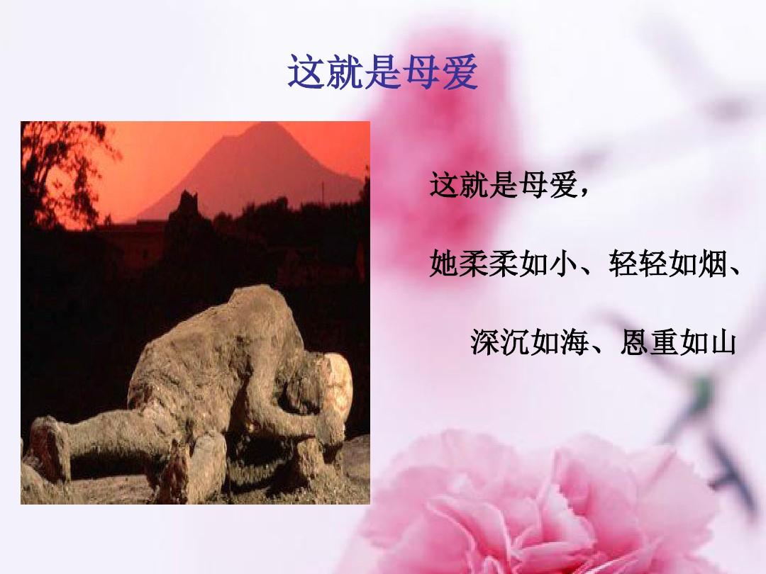 射在褲子里就去睡會(huì)弄到被子嗎_抖音里面折被子不用捆_藏在被子里的母愛