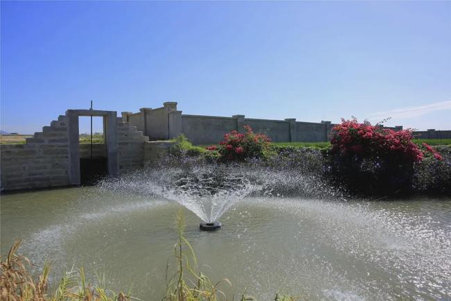 白鷺洲公園音樂噴泉_白鷺公園_防城港白鷺公園