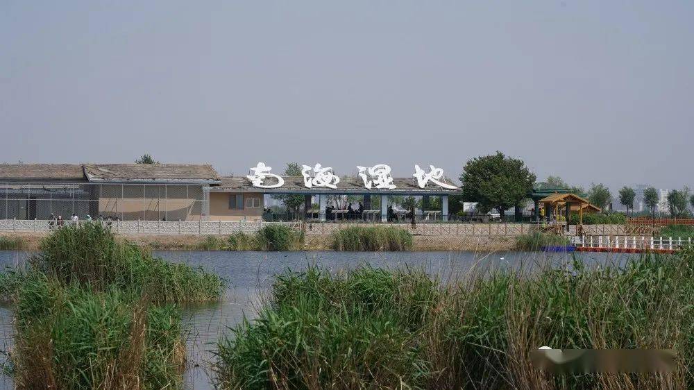 廈門觀音山沙雕公園_觀音山沙雕文化公園_廈門觀音山沙雕公園要門票嗎