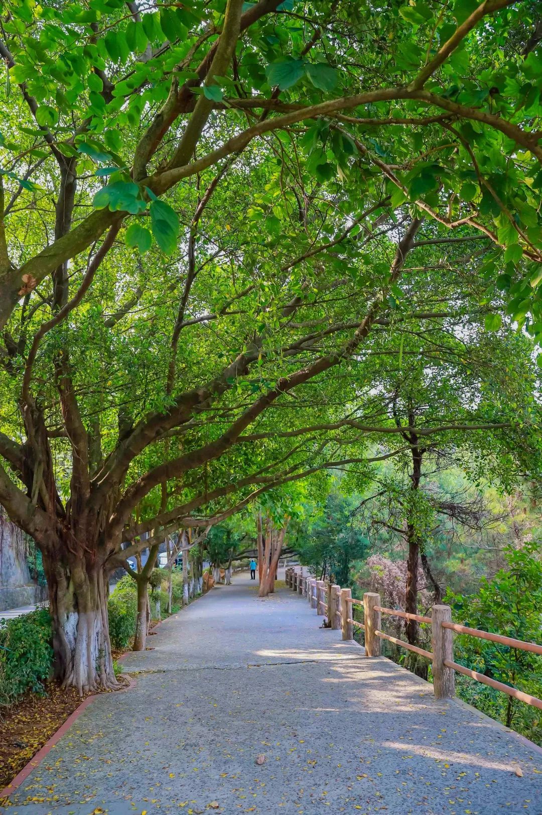 威海海驢島沙雕公園_觀音山沙雕文化公園_鐵仔山公園平巒山公園