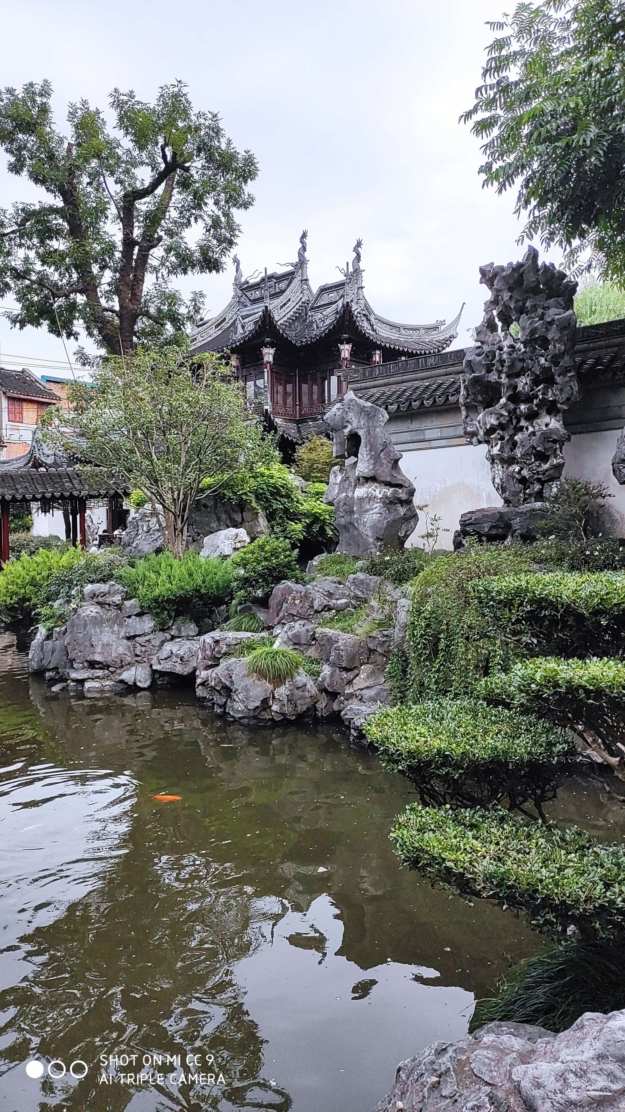 導游頤和園作文_北京頤和園導游詞_寫頤和園導游詞的作文