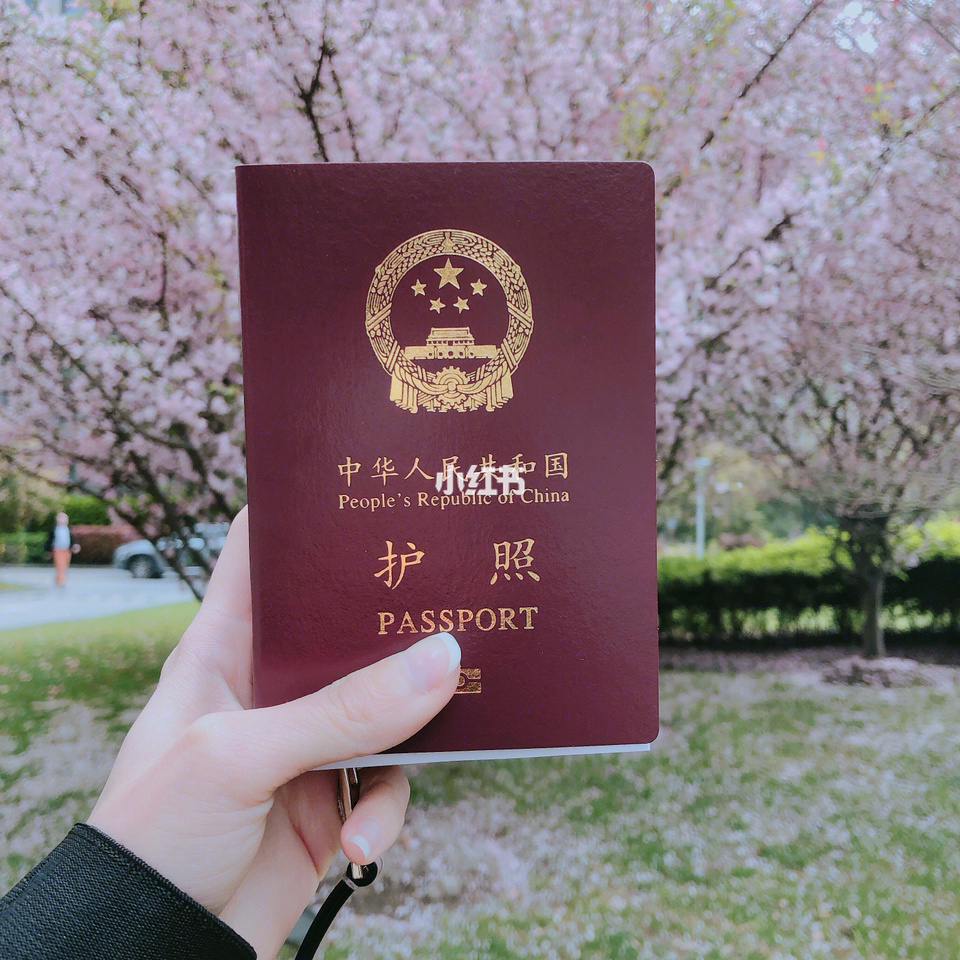 留學咨詢機構英國_澳門留學機構咨詢_英國注冊的留學機構