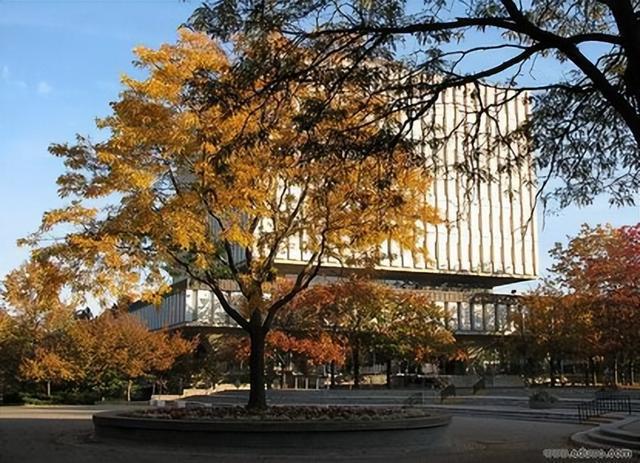 加拿大皇后大學商學院排名_加拿大大學專業排名_加拿大女王大學 排名