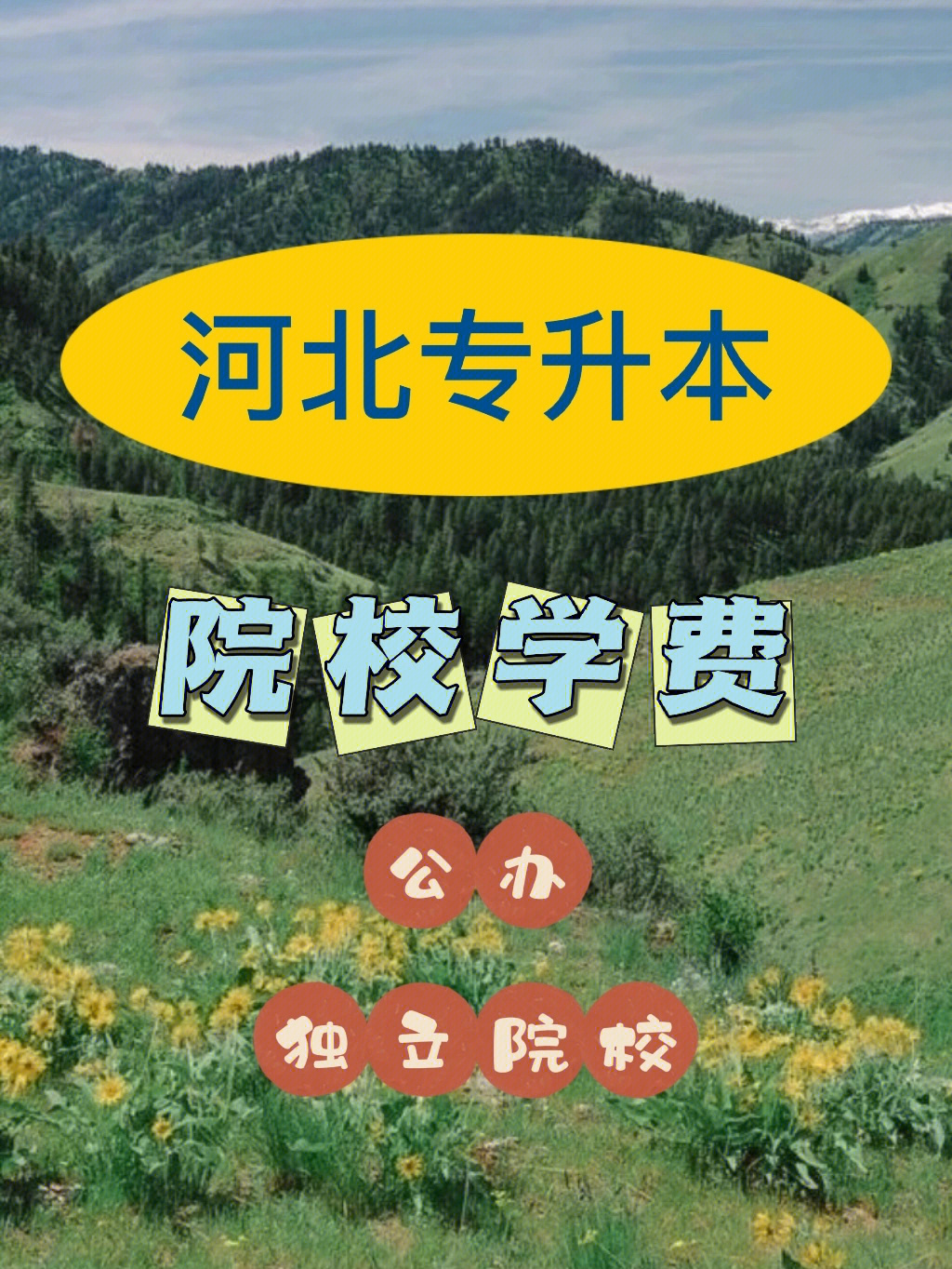美國綠卡生申請美國研究生比國際留學生優勢在哪里_俄羅斯醫學院國際生申請_韓京國際醫美學院
