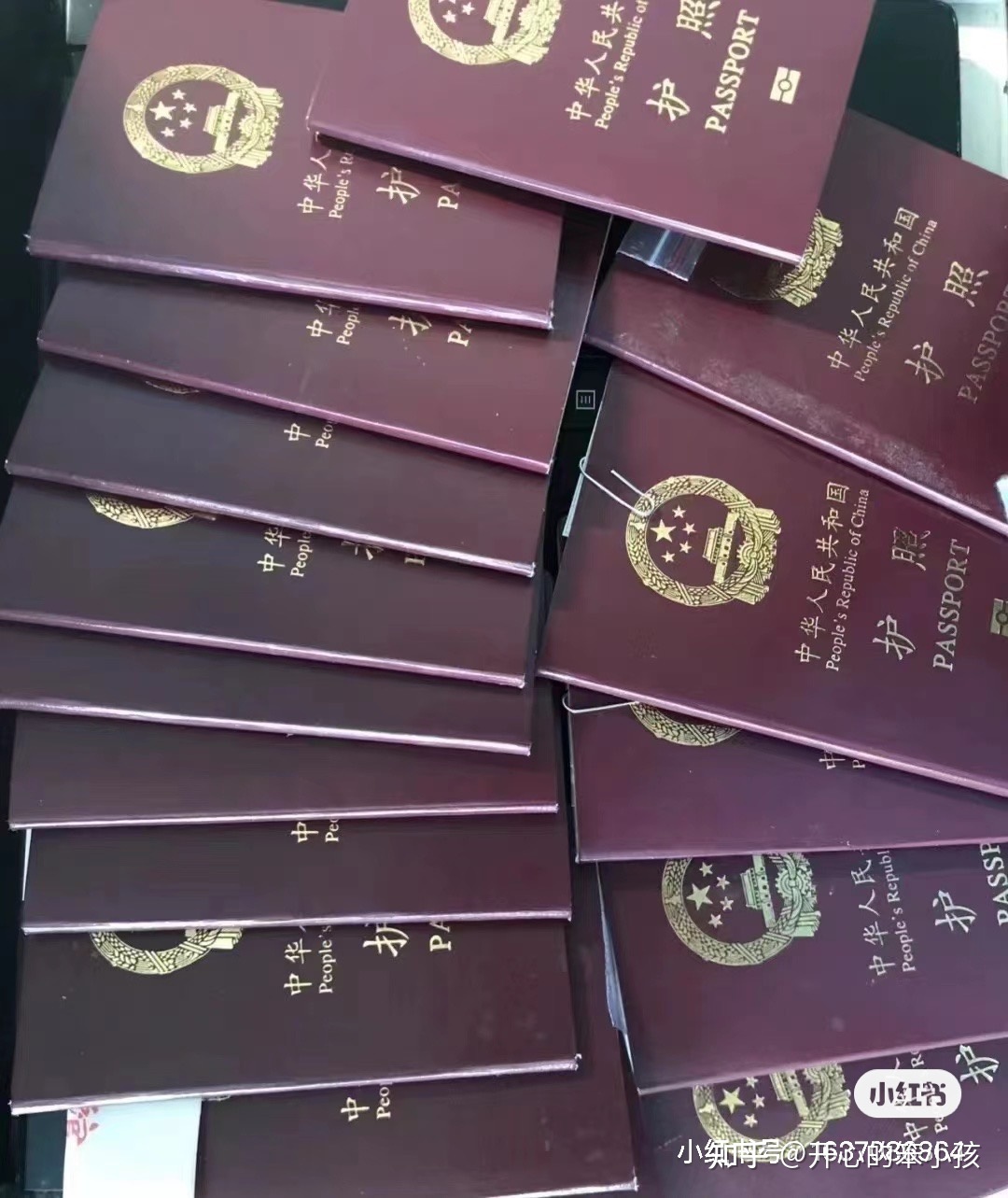 新西蘭醫學院申請留學的條件_留學新西蘭需要什么條件_英國劍橋女王學院申請留學條件