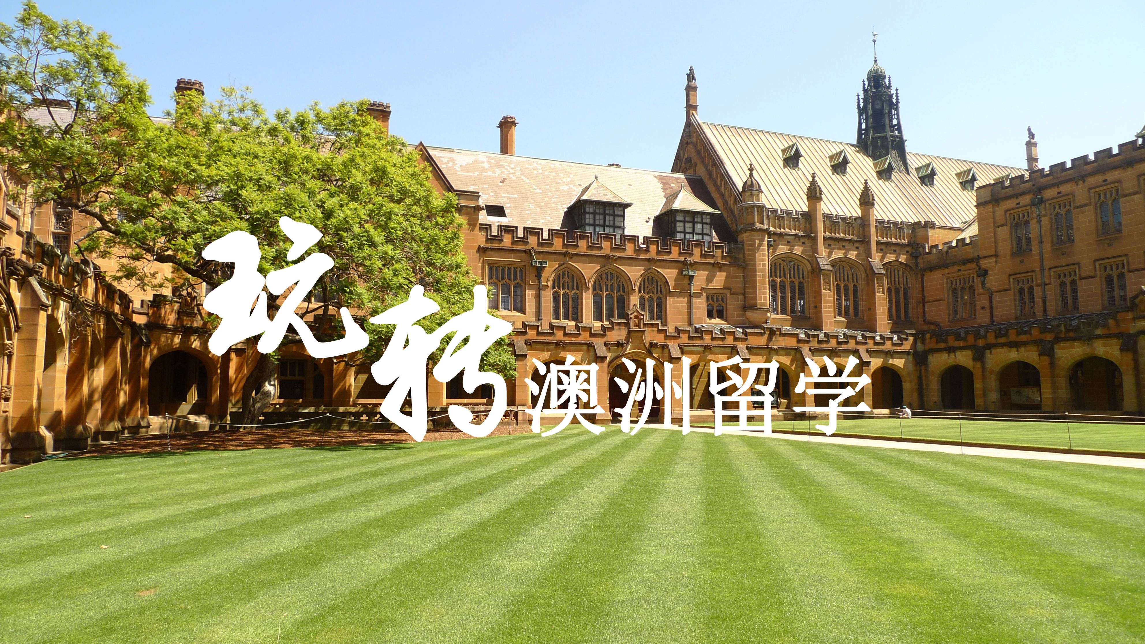 澳大利亞臥龍崗大學牙科專業_上海外國語大學各專業就業排名_澳大利亞大學專業排名