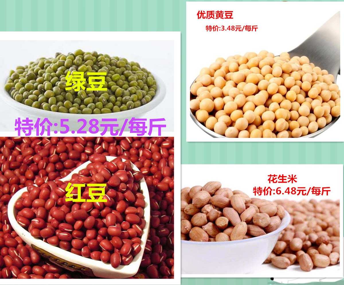 發豆芽的觀察日記_綠豆芽的生長觀察日記_觀察綠豆的生長日記