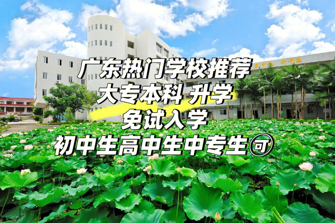 switch美國免稅州郵編_美國北德克薩斯州大學_美國德克薩斯州郵編
