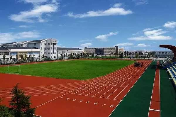加拿大大學排名2023排行_籃球全美2023屆排名_加拿大愛德華王子島大學qs排名