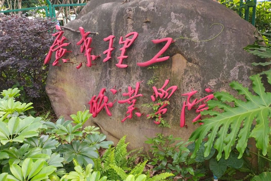 華南理工廣州學院_華南理工廣州學院中興通訊3g學院_廣州市華南理工大學