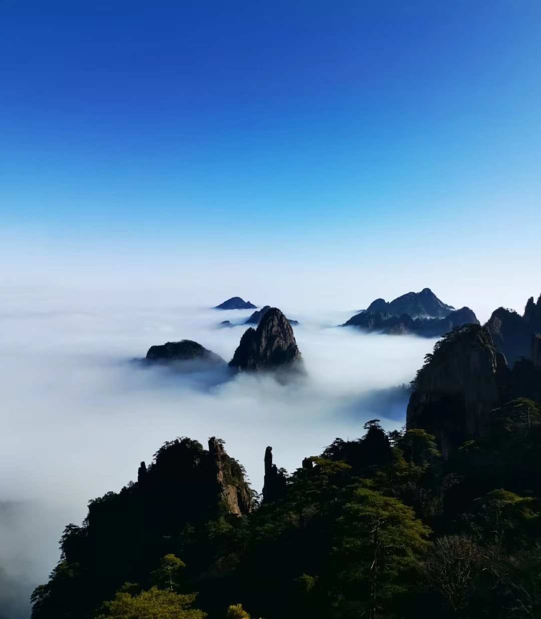 黃山奇石圖片天狗望月介紹_黃山奇石天狗望月圖片_黃山奇石中的天狗望月