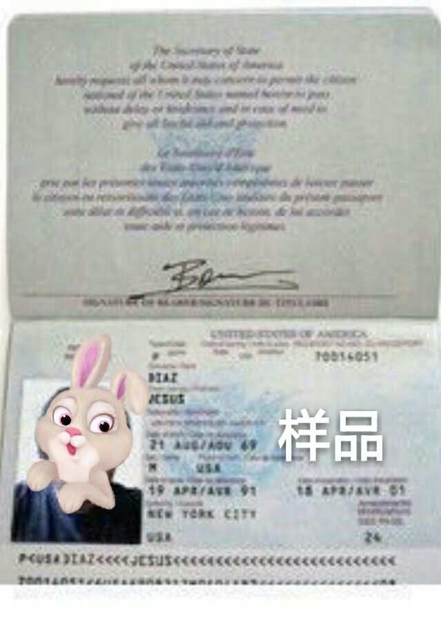 新西蘭留學 太傻留學_太傻留學收費_太傻留學為什么叫太傻