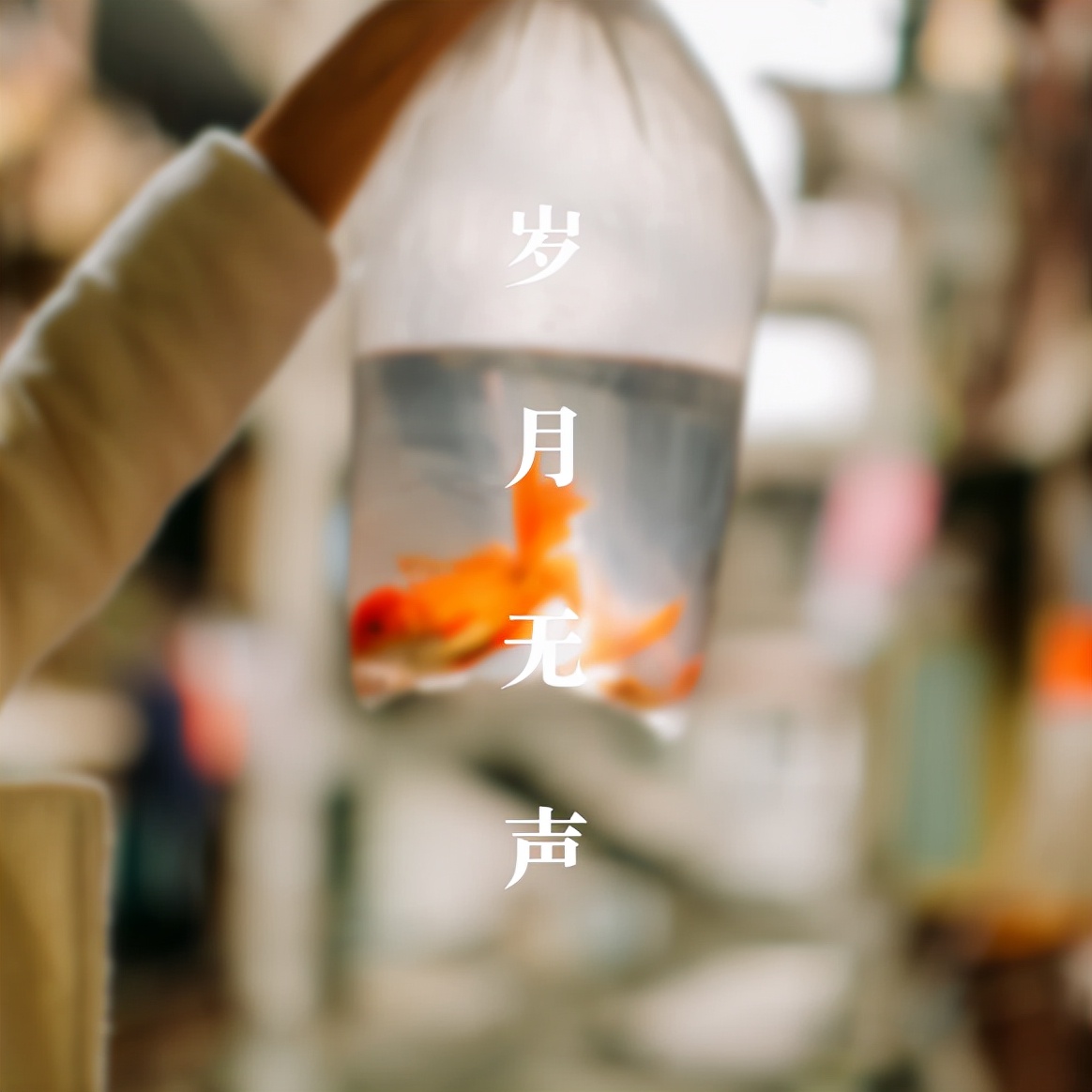 時光飛逝光陰如梭_光陰似箭歲月如梭_時光荏苒歲月亦如梭詩