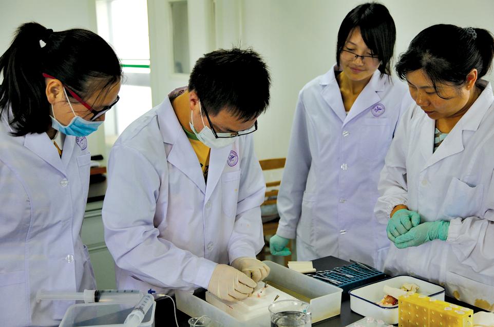 四川公辦二本大學(xué)文科_廣東二本公辦學(xué)校有哪些大學(xué)_公辦二本大學(xué)