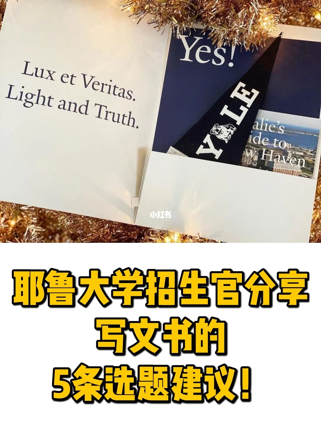 普萊斯頓大學_萊斯大學布朗大學_上海工程技術大學大學教學管理信息系統