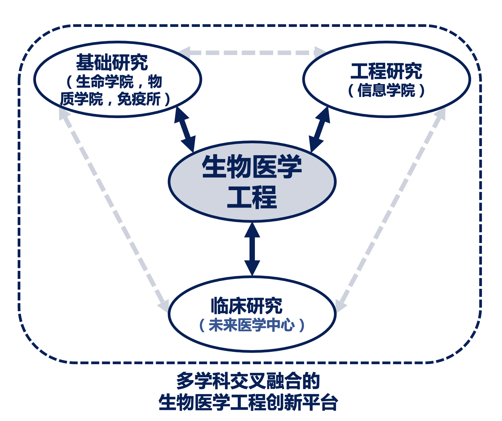生物工程排名_生物醫學工程排位_考研生物醫學工程排名