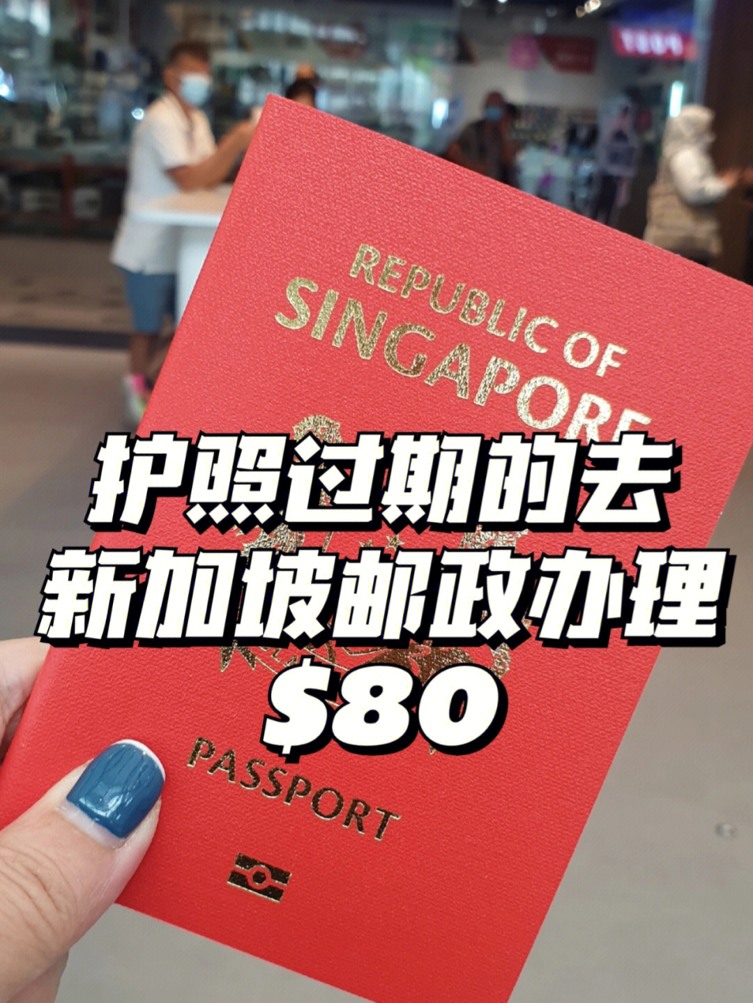 去新加坡探親簽證_新加坡探親訪友簽證_新加坡探親簽證材料