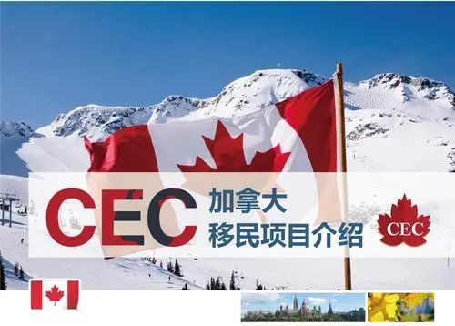 瓦努阿圖綠卡有效期_瓦努阿圖綠卡銀行開戶_瓦努阿圖綠卡自助辦理