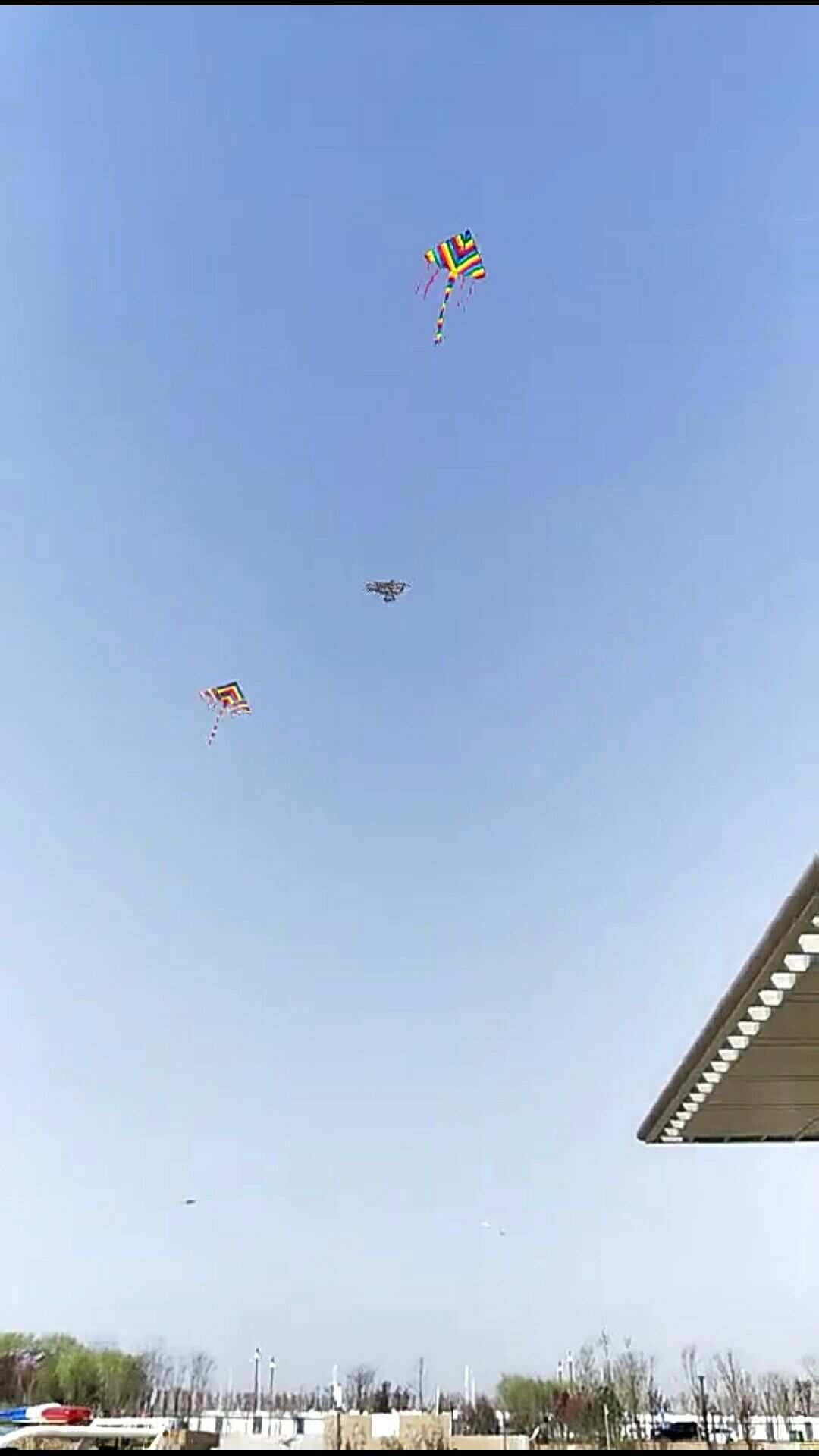 三年級風箏看圖說話作文_放風箏看圖寫話三年級_三級下冊看圖寫話作文風箏