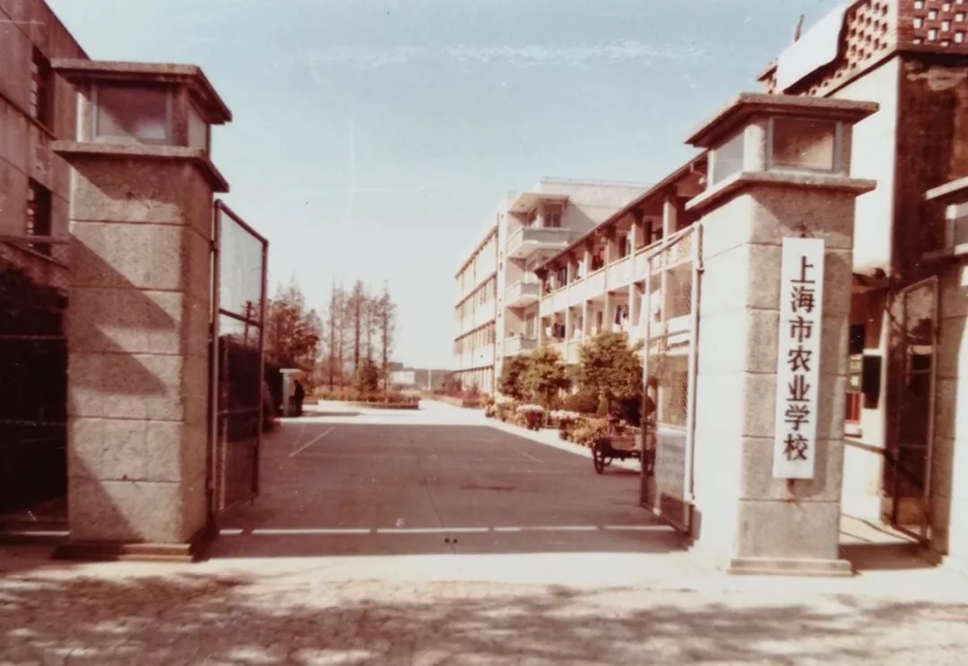 山東萊陽(yáng)農(nóng)學(xué)院_山東農(nóng)業(yè)大學(xué)萊陽(yáng)農(nóng)學(xué)院_山東萊陽(yáng)農(nóng)學(xué)院怎么樣