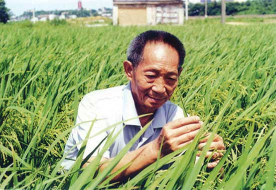 袁隆平逝去作文600字_關于袁隆平去世的作文_袁隆平逝世的作文600字
