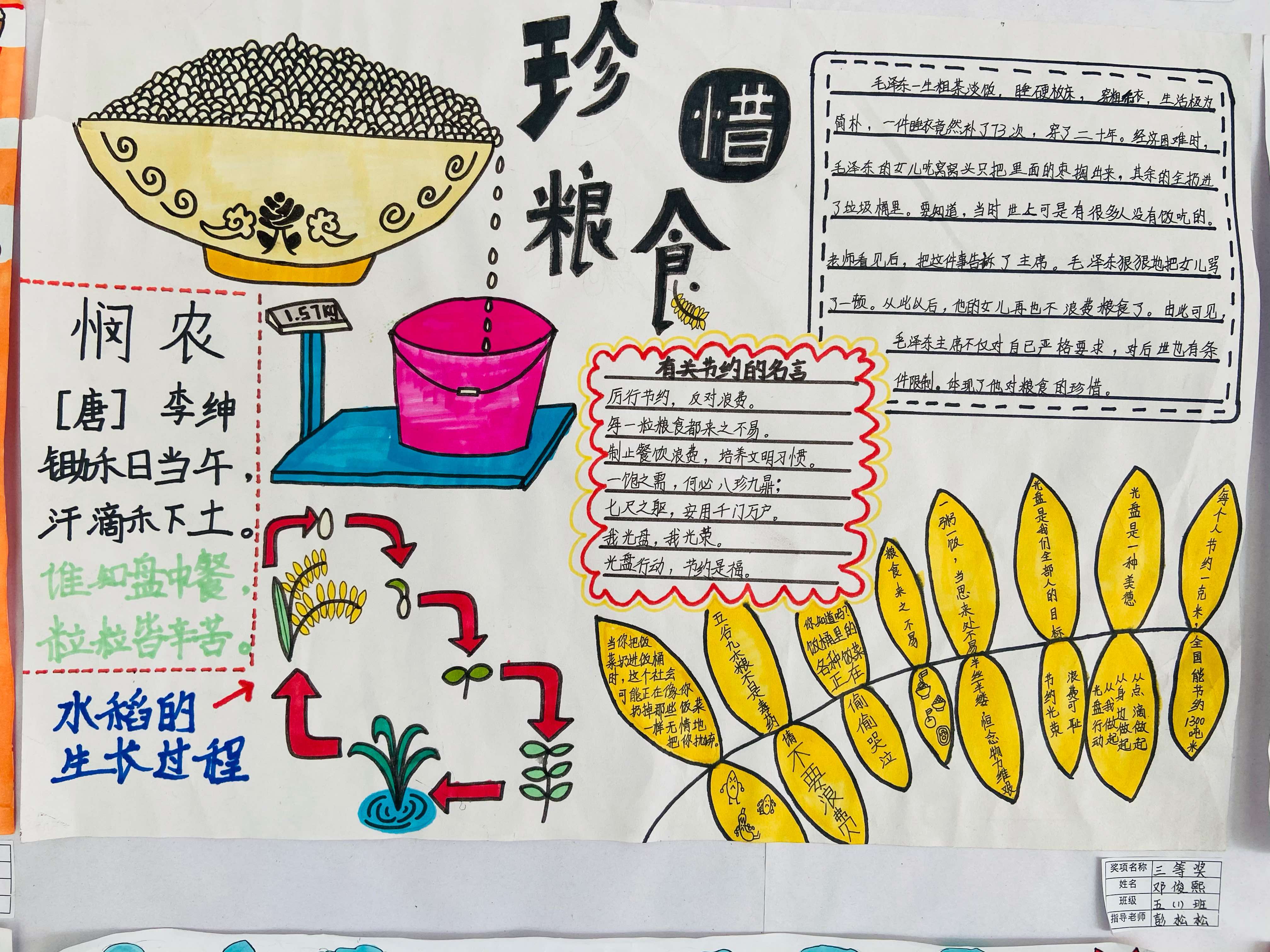 做起節約糧食的事例_節約糧食從我做起_做起節約糧食的行動