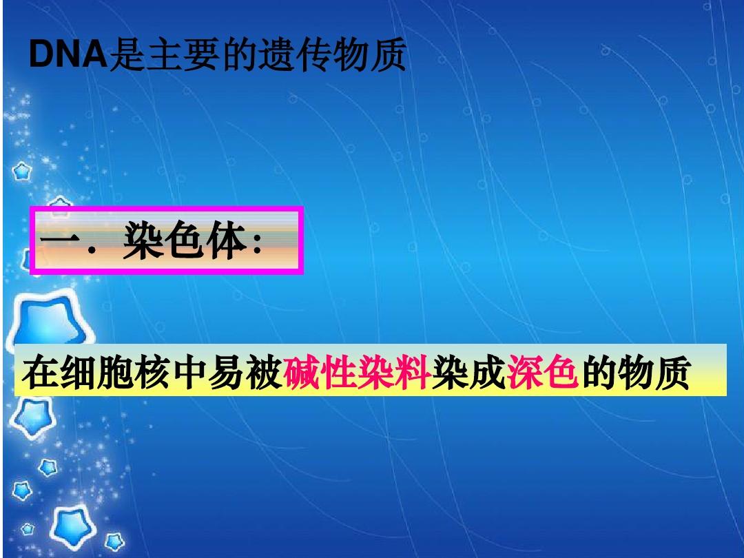 細胞核的結構_細胞核結構圖手繪_細胞核結構模型