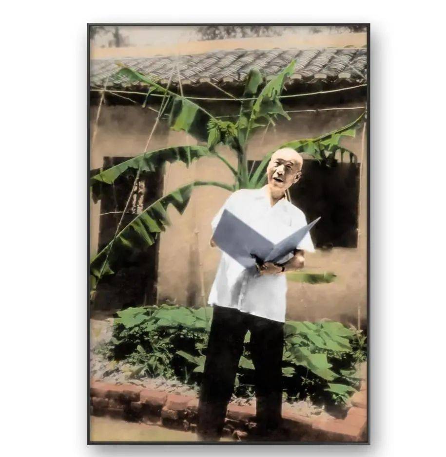 我的動(dòng)物朋友作文400以上狗_人物動(dòng)物交互狗AA作文_人物動(dòng)物人狗互動(dòng)文章