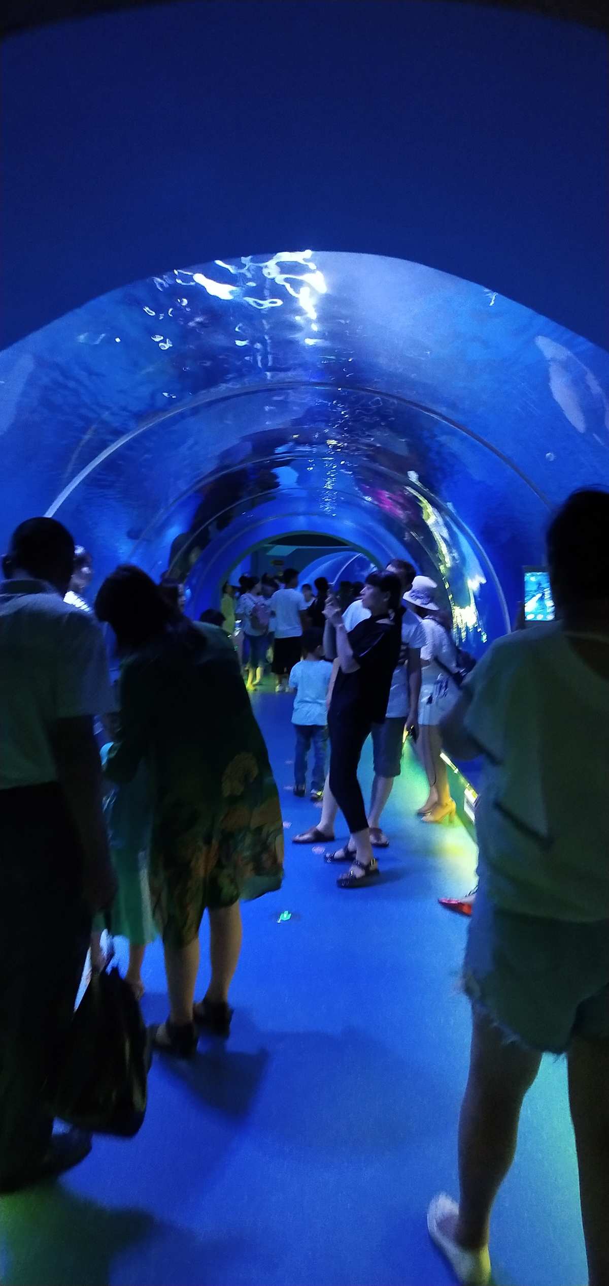 北京富國海底世界_北京富國海底世界官網_北京海底富國海世界