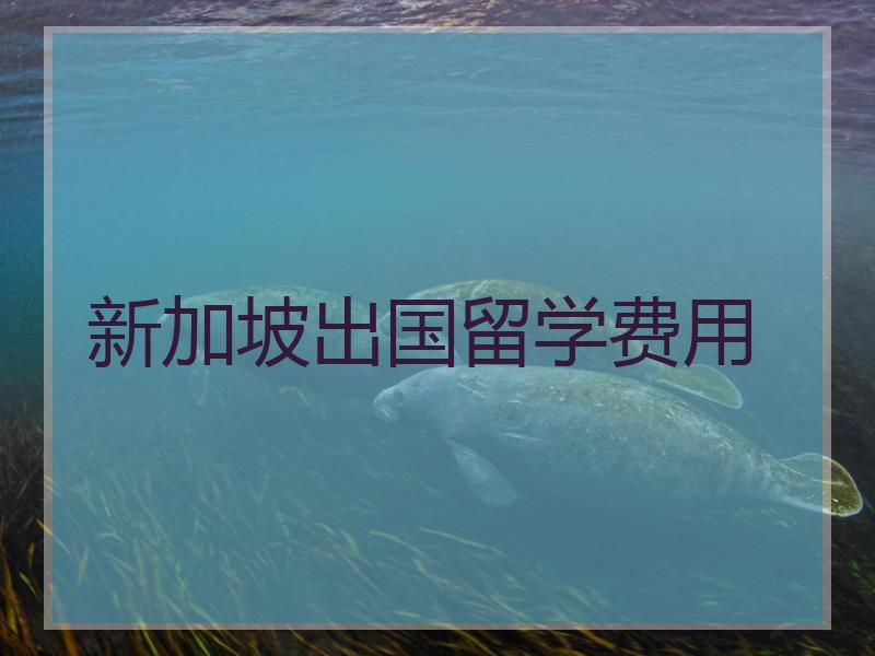 新西蘭出國(guó)留學(xué)費(fèi)用研究生_新西蘭出國(guó)留學(xué)費(fèi)用_新西蘭出國(guó)留學(xué)費(fèi)用排名