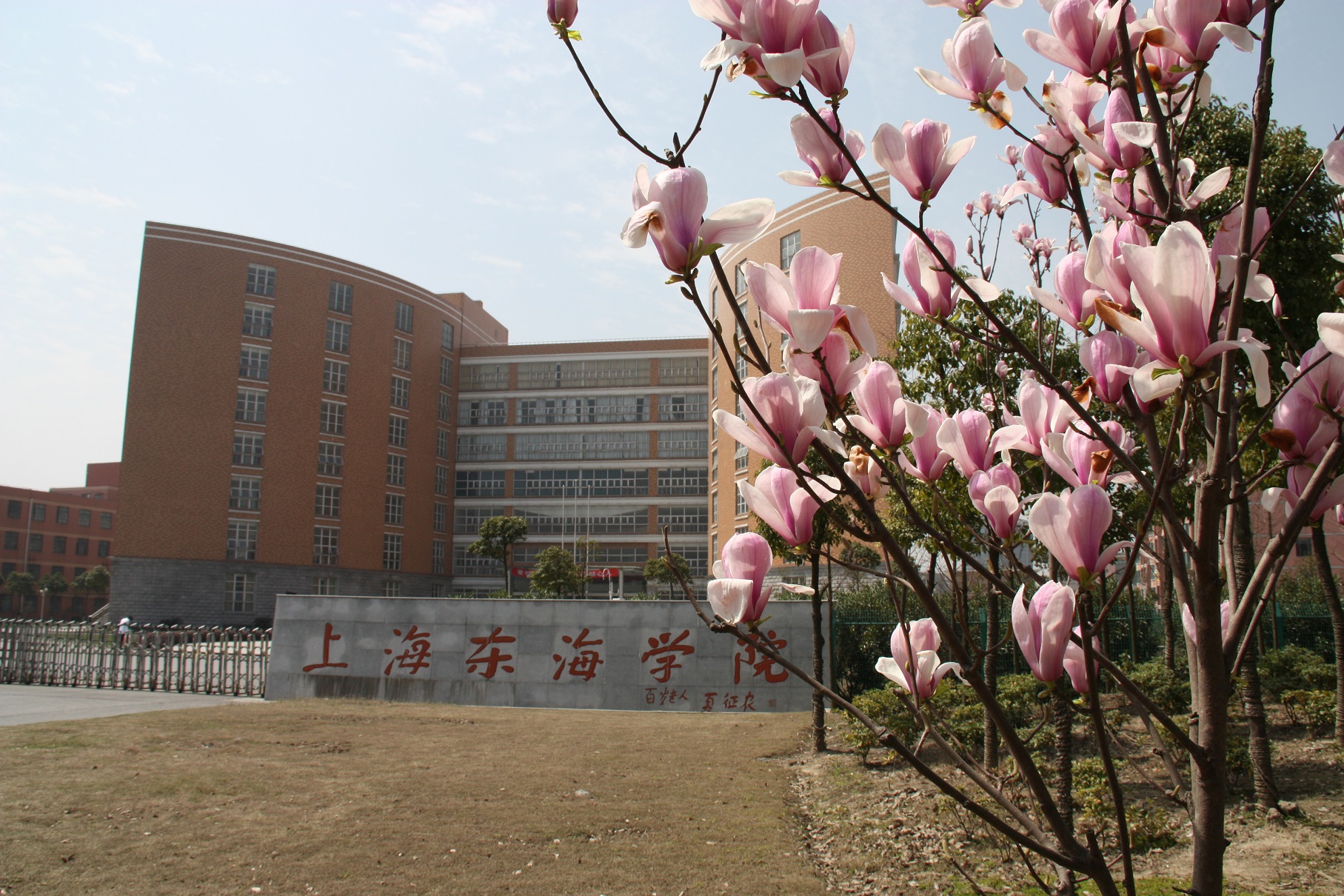 中文香港大學(xué)怎么考_中文香港大學(xué)深圳校區(qū)_香港中文大學(xué)