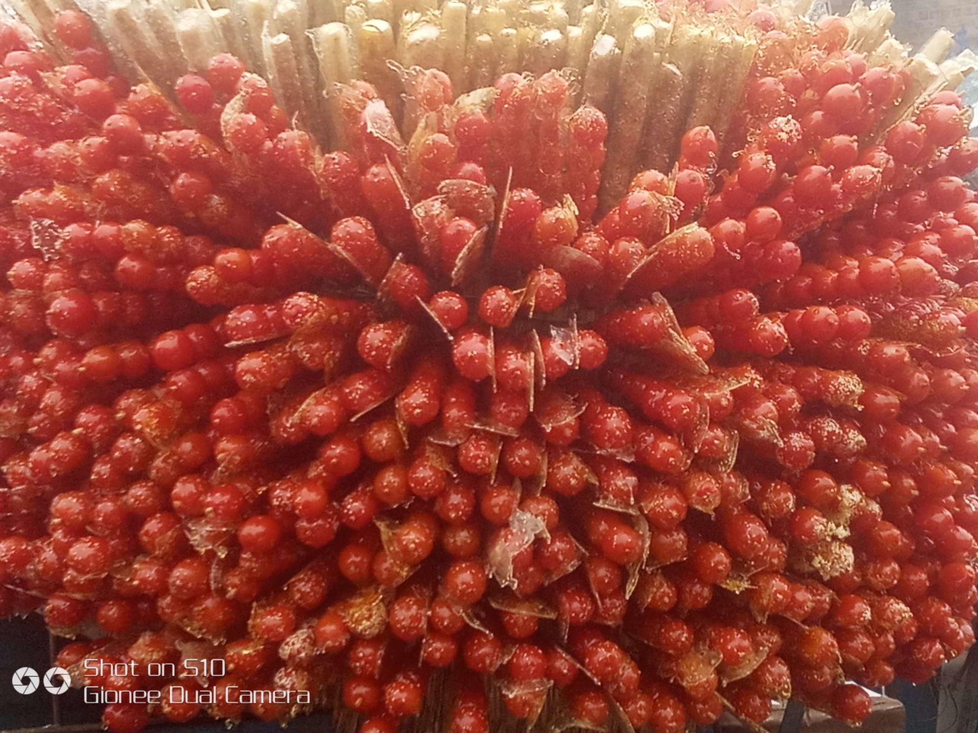 花開的聲音作文傳統文化_關于傳統文化的作文_作文傳統文化600字