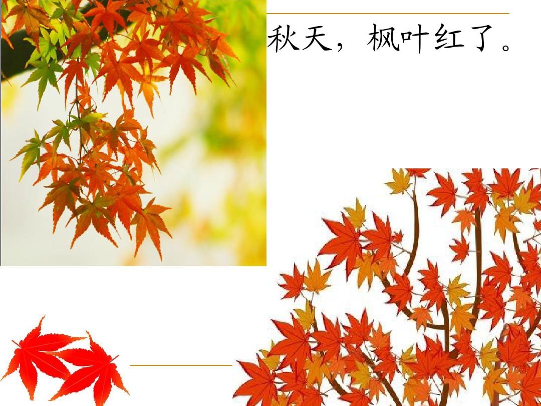 大連楓葉國(guó)際學(xué)校初小校區(qū)_大連楓葉國(guó)際學(xué)校初中招生_大連楓葉國(guó)際學(xué)校初中部