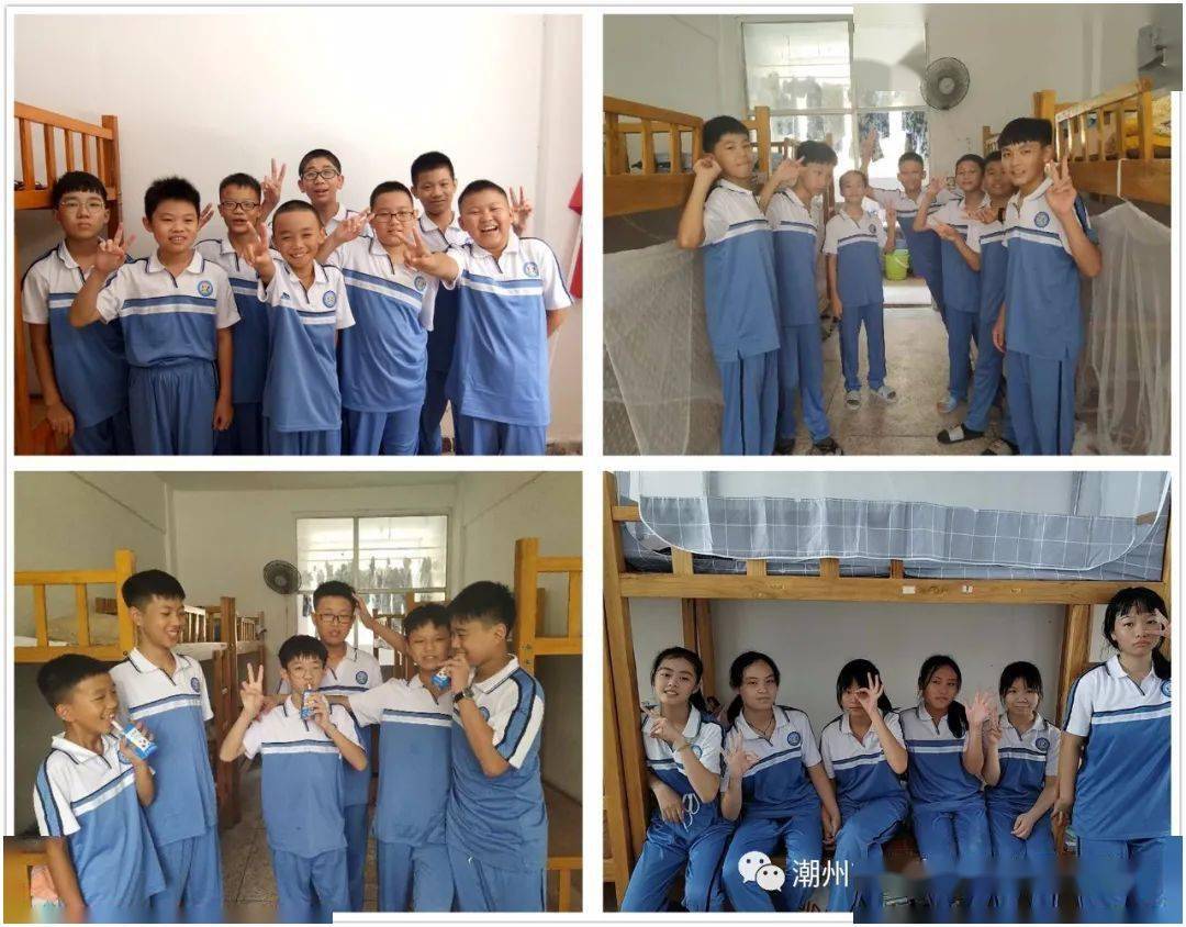 城西國際大學什么水平_城西國際大學_城西國際大學2+2項目