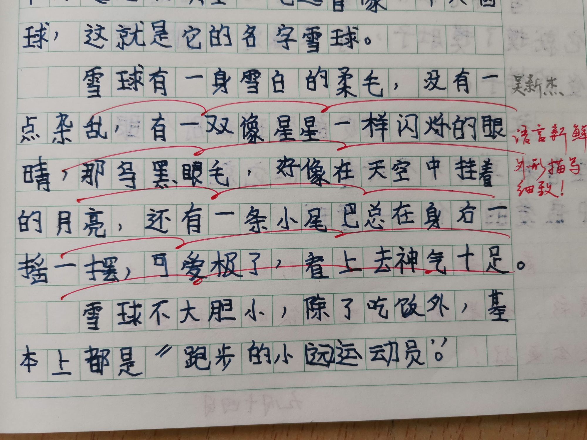 打雪仗優秀作文600字_打雪仗作文_打雪仗作文600字