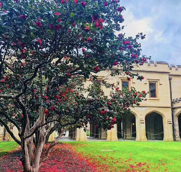墨爾本大學mba申請條件_墨爾本大學 mba_墨爾本大學mba學費
