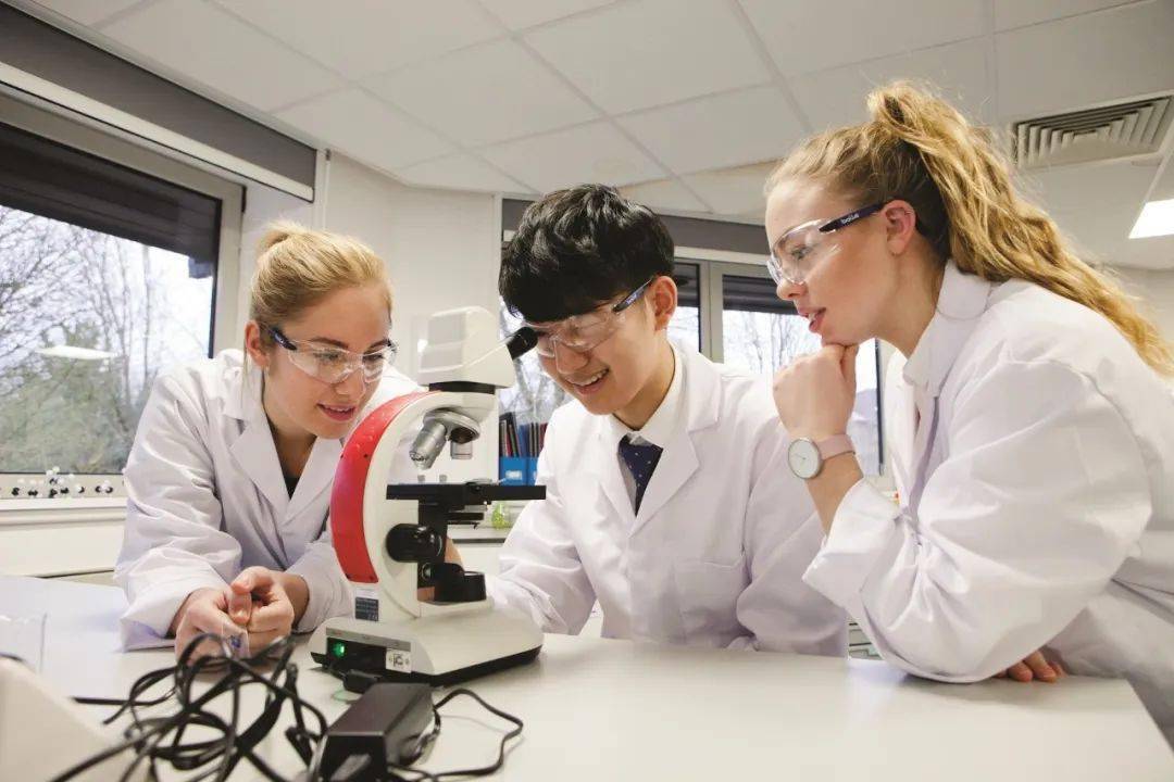 遼寧國際留學_遼寧國際留學大連分公司_遼寧國際學校