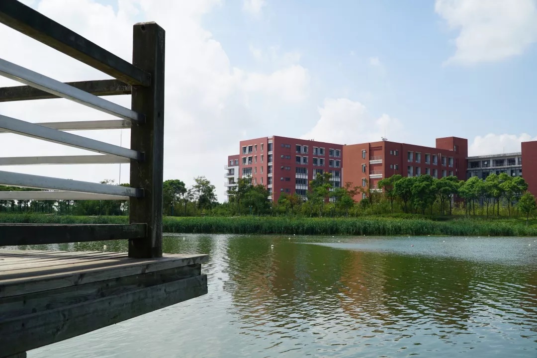 華南理工大學理學院官網_華南理工學院_華南理工官方