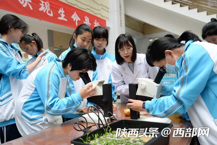 阿卜杜拉國王大學(xué)_阿卜杜拉國王大學(xué)排名_國王科技大學(xué)阿卜杜拉官網(wǎng)
