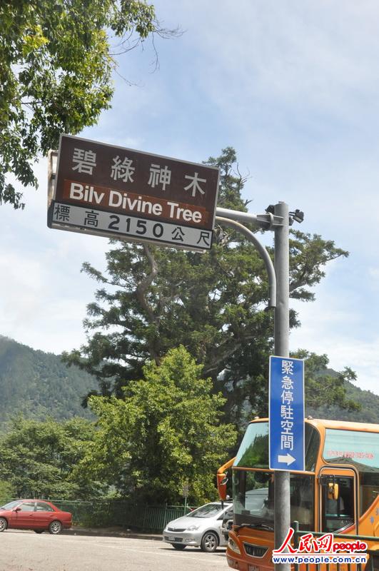 馬來(lái)西亞購(gòu)物攻略必買清單_馬來(lái)西亞買什么最劃算_馬來(lái)西亞購(gòu)物買什么比較好