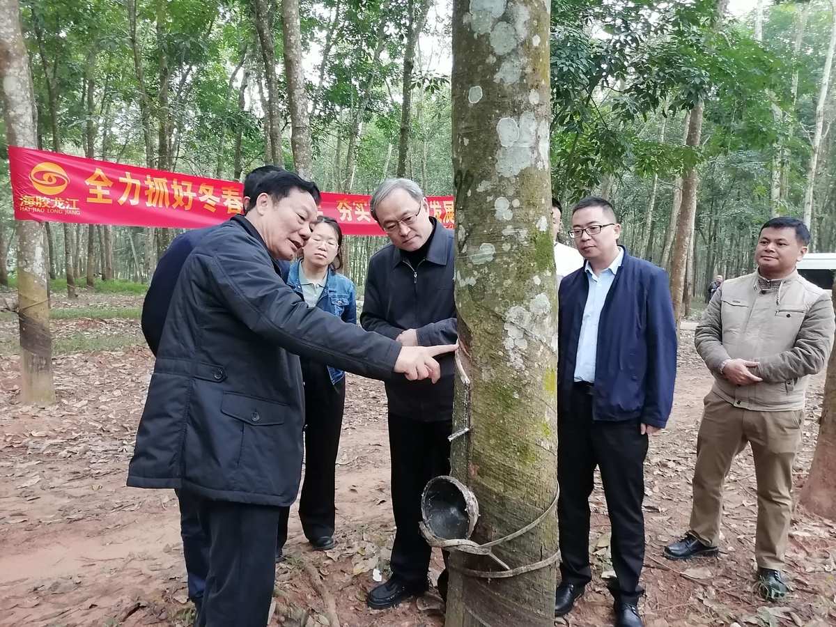 李光前()_李前偉事件來龍去脈_李前霈