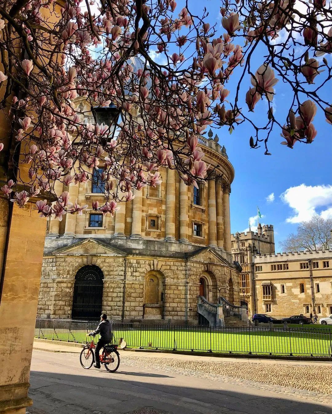 澳大利亞大學排名前十名_澳大利亞大學排名_澳大利亞大學