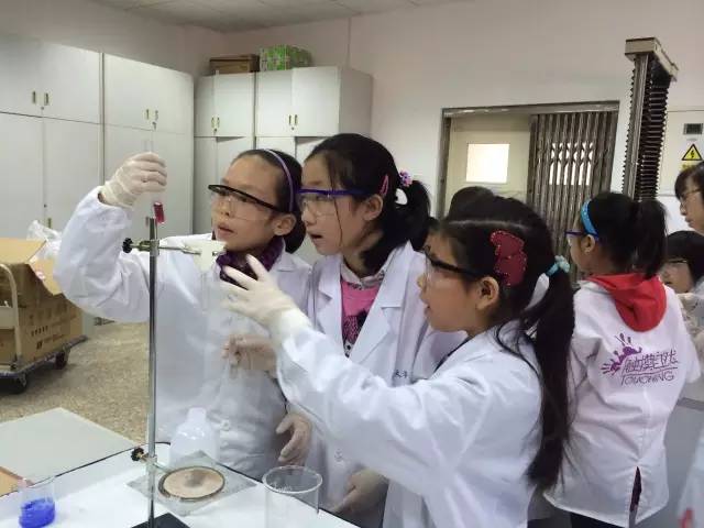 課程國際學校_國際課程ALEVEL是什么_國際課程alevel是什么