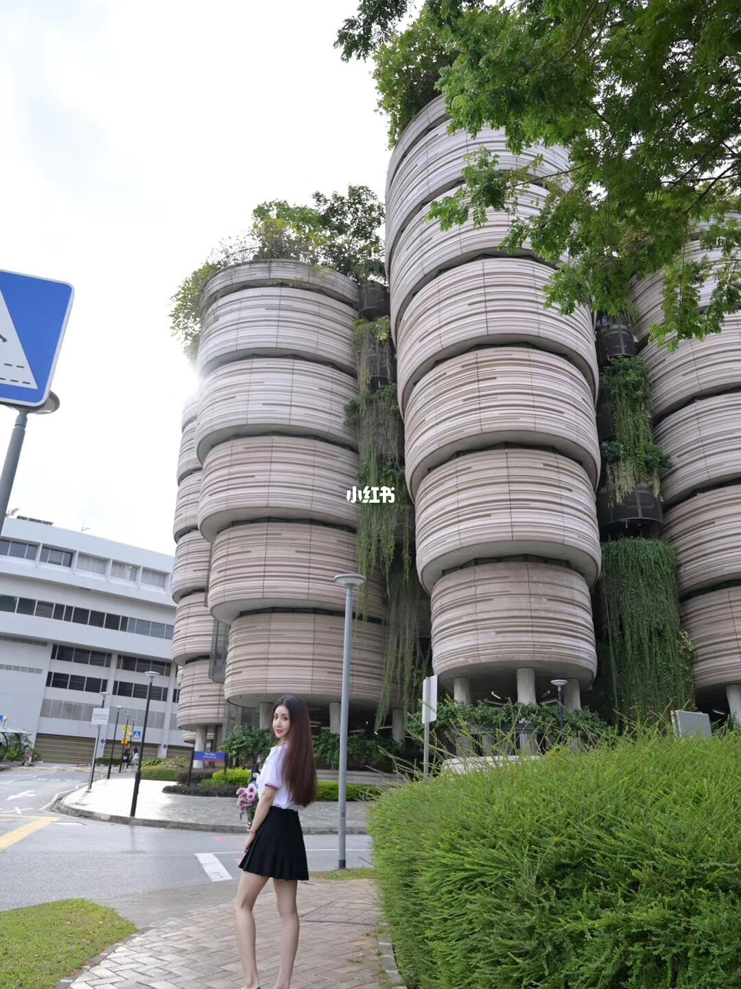 南洋大學簡介_南洋大學_南洋大學現在是什么大學
