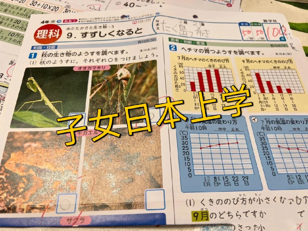 日本大學研究生_大學日本研究生去美國留學_大學日本研究生申請條件