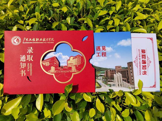清遠職業技術學院分數線_清遠職業技術學院錄取排名_清遠職業技術學院分數線